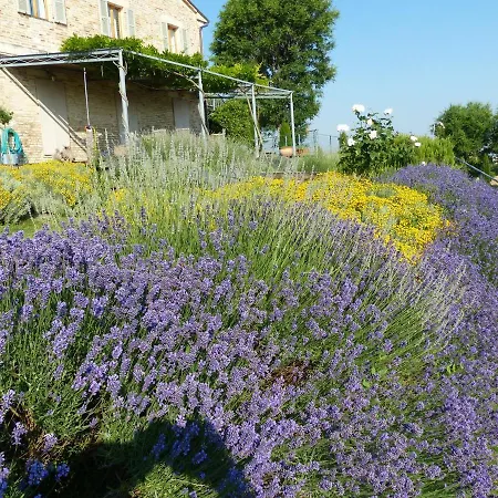 Tenuta-paradiso Panoramaloft Ostra