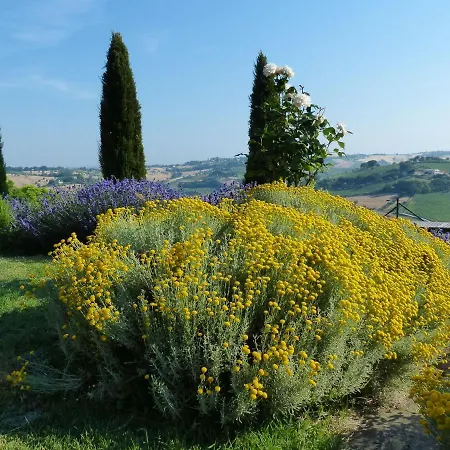 Tenuta-paradiso Panoramaloft * Ostra